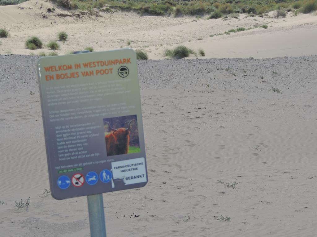 Sea & Dunes لاهاي المظهر الخارجي الصورة